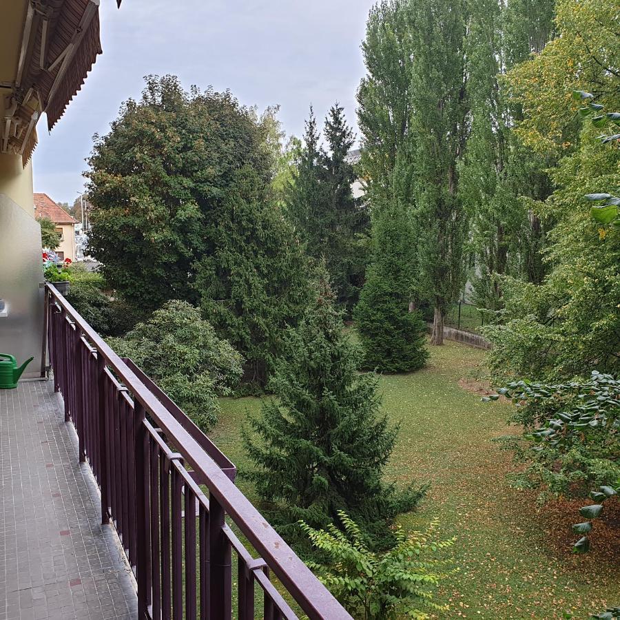 Appartement Cote Parc à Schiltigheim Extérieur photo