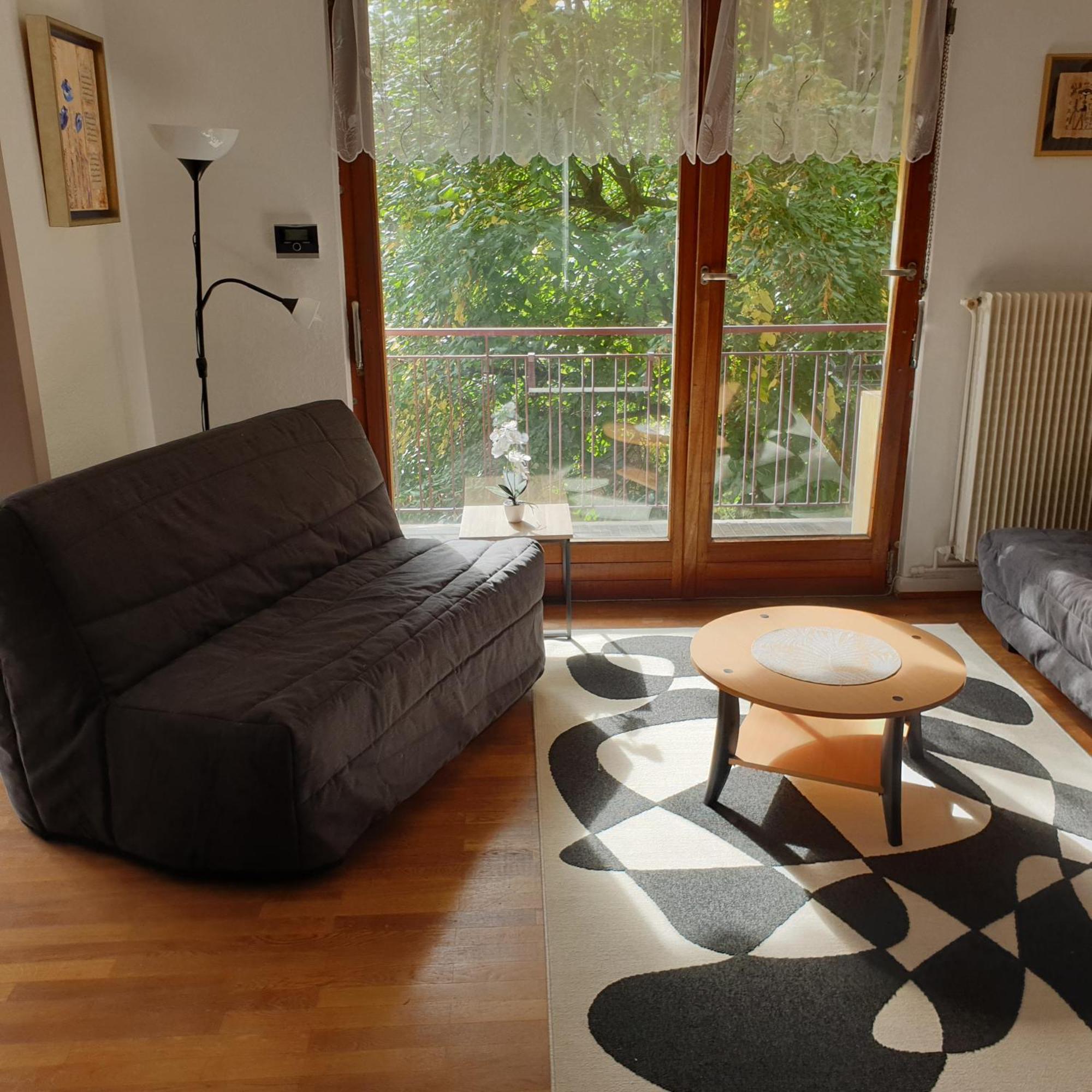 Appartement Cote Parc à Schiltigheim Extérieur photo