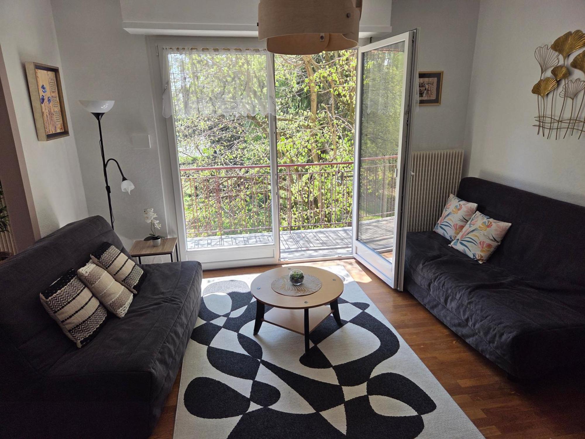 Appartement Cote Parc à Schiltigheim Extérieur photo